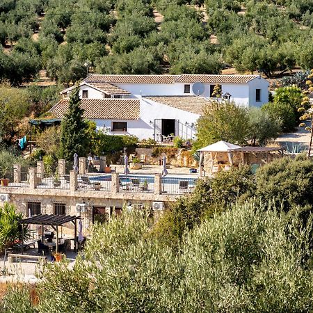 Hacienda La Buena Vida B&B En Appartementen Casita La Bruja Algarinejo 部屋 写真