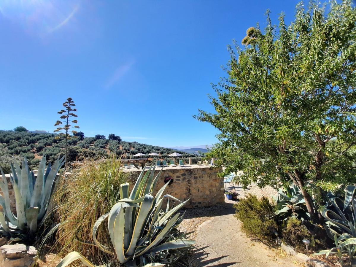 Hacienda La Buena Vida B&B En Appartementen Casita La Bruja Algarinejo エクステリア 写真