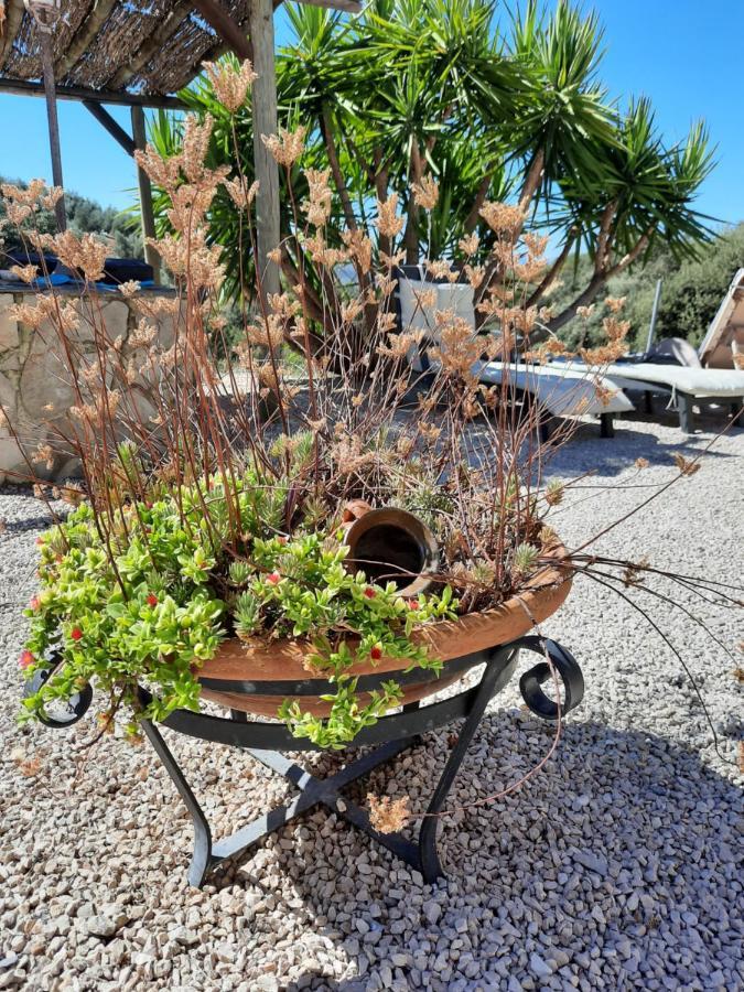 Hacienda La Buena Vida B&B En Appartementen Casita La Bruja Algarinejo エクステリア 写真