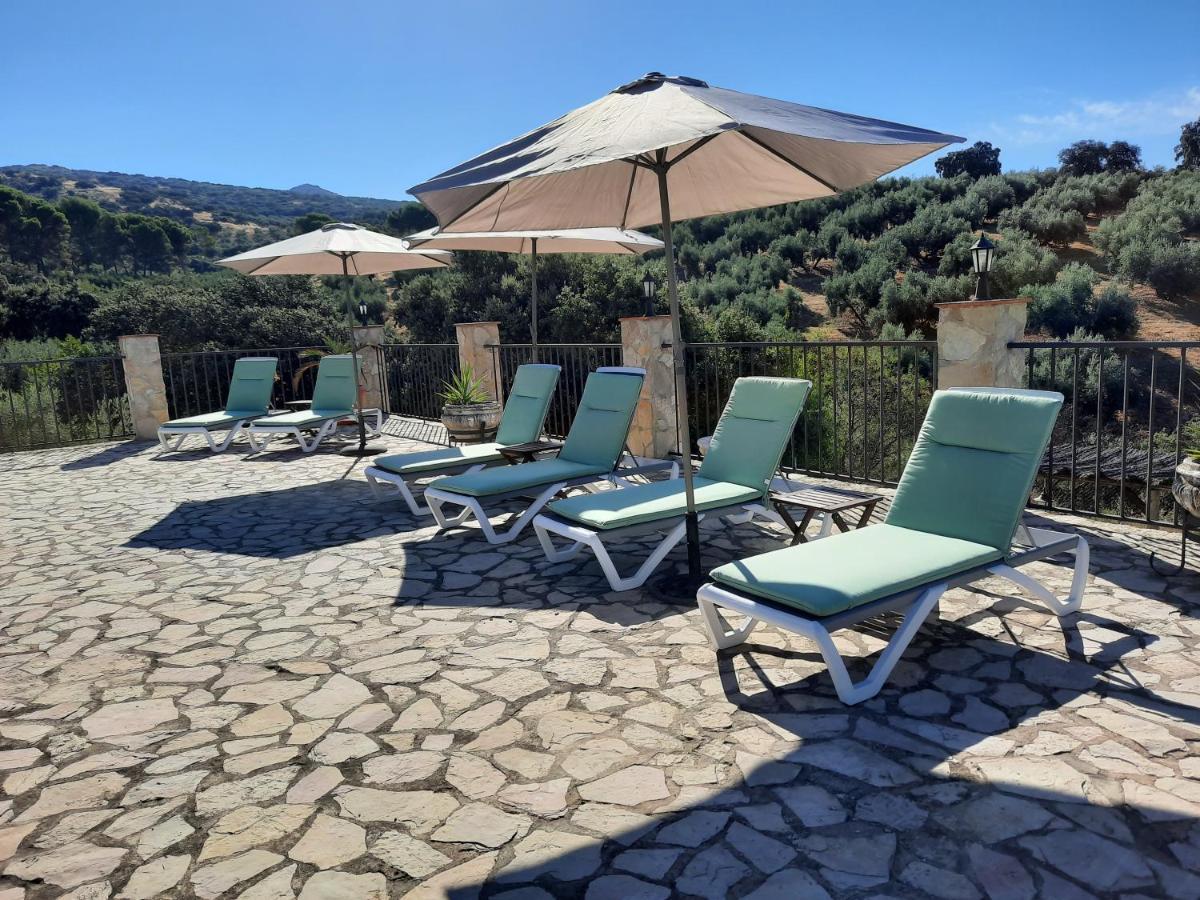 Hacienda La Buena Vida B&B En Appartementen Casita La Bruja Algarinejo エクステリア 写真