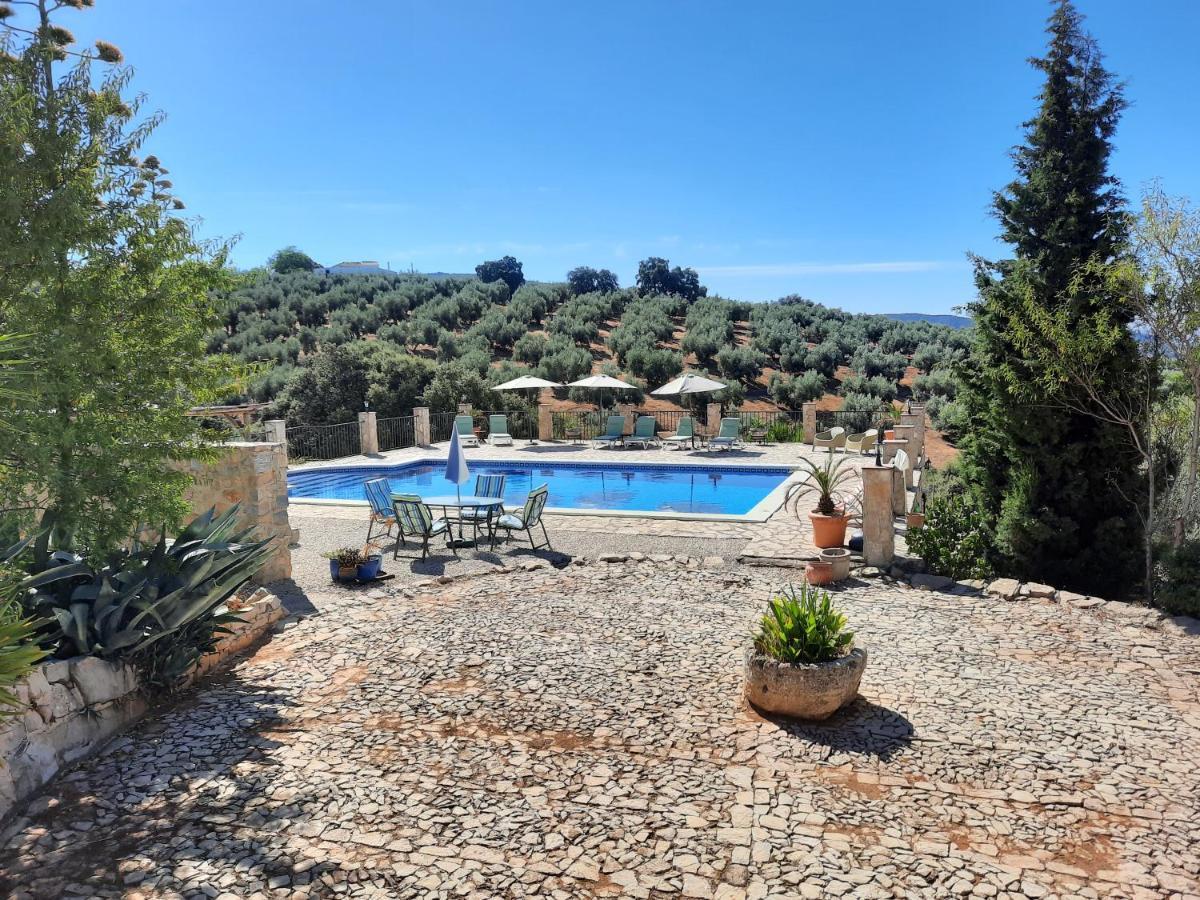 Hacienda La Buena Vida B&B En Appartementen Casita La Bruja Algarinejo エクステリア 写真