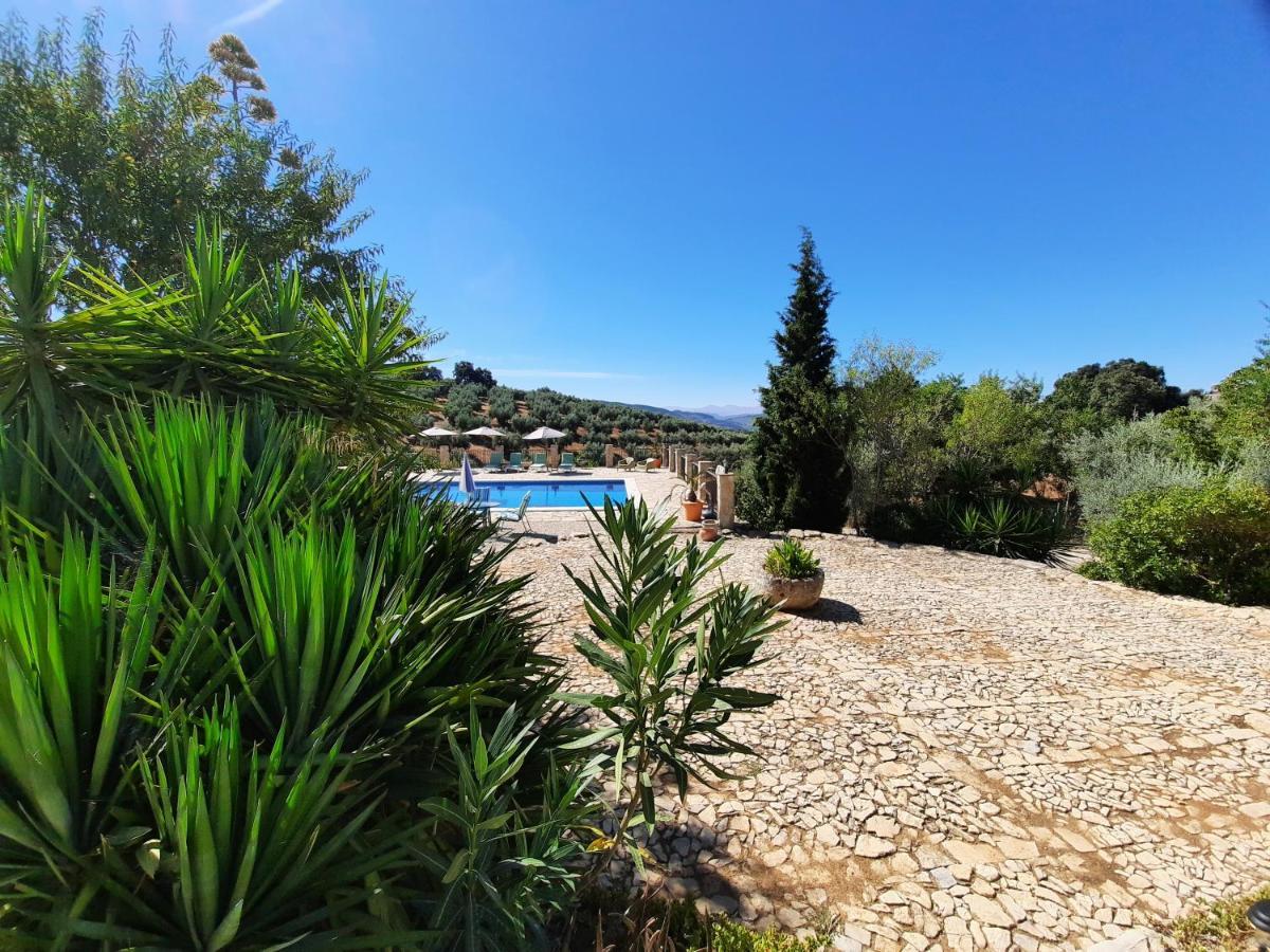 Hacienda La Buena Vida B&B En Appartementen Casita La Bruja Algarinejo エクステリア 写真