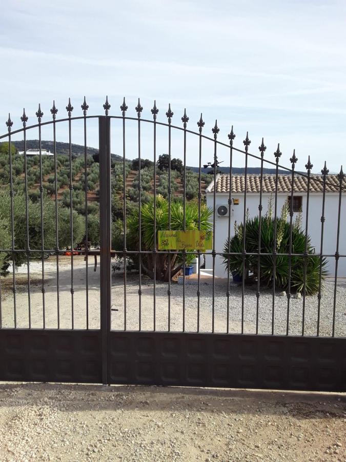 Hacienda La Buena Vida B&B En Appartementen Casita La Bruja Algarinejo エクステリア 写真