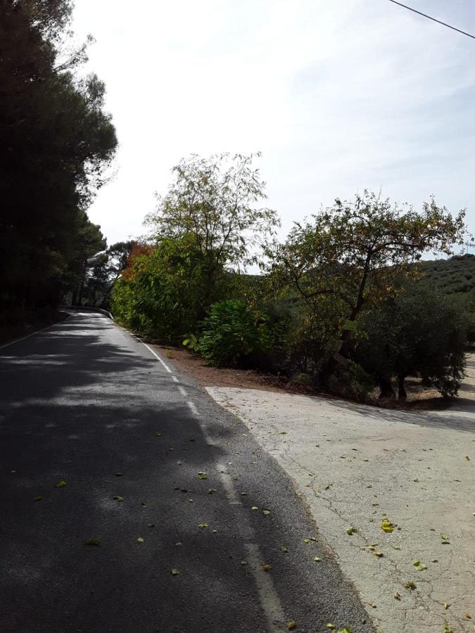 Hacienda La Buena Vida B&B En Appartementen Casita La Bruja Algarinejo エクステリア 写真