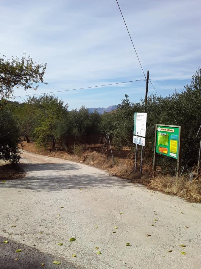 Hacienda La Buena Vida B&B En Appartementen Casita La Bruja Algarinejo エクステリア 写真
