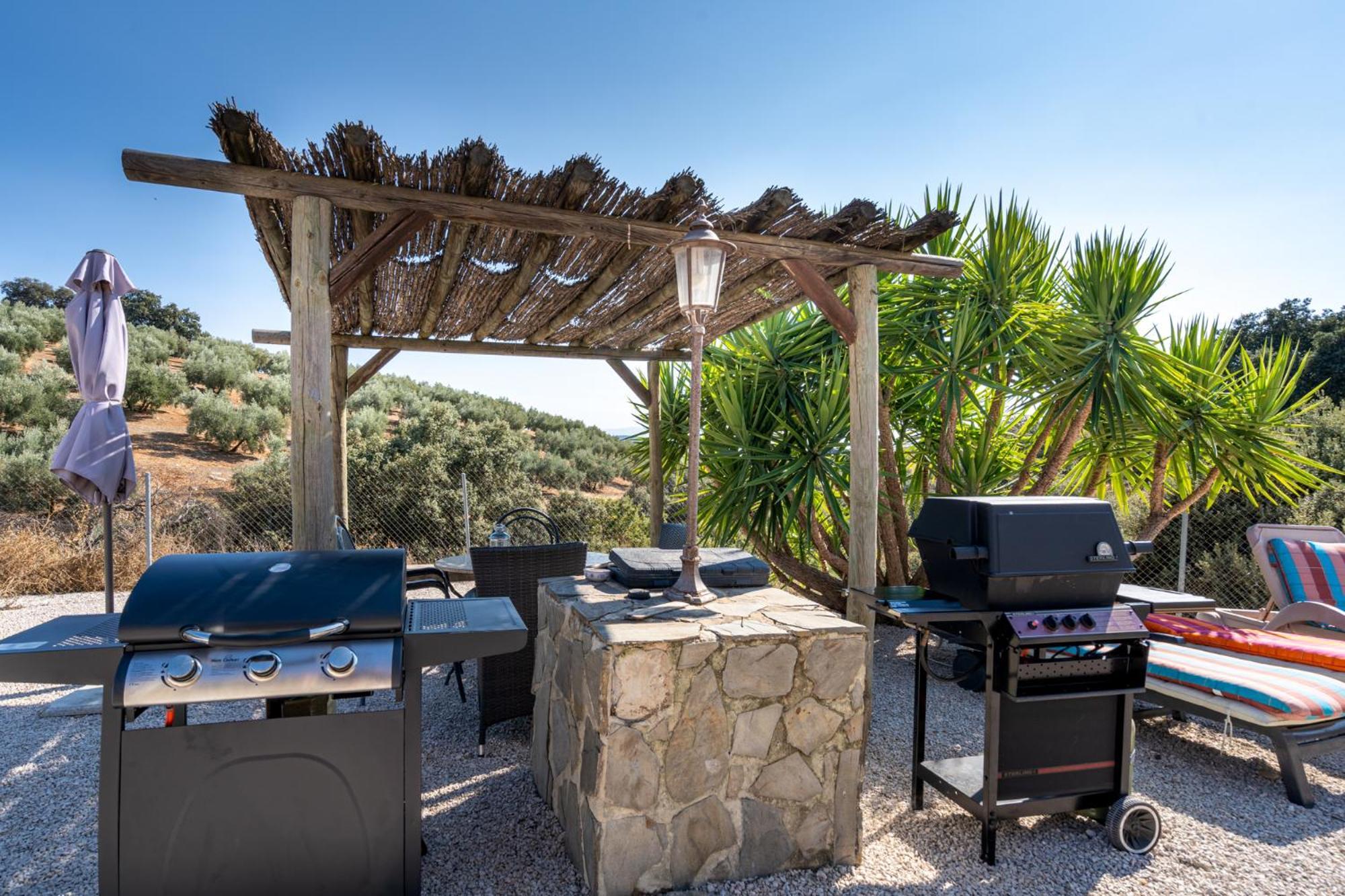 Hacienda La Buena Vida B&B En Appartementen Casita La Bruja Algarinejo 部屋 写真