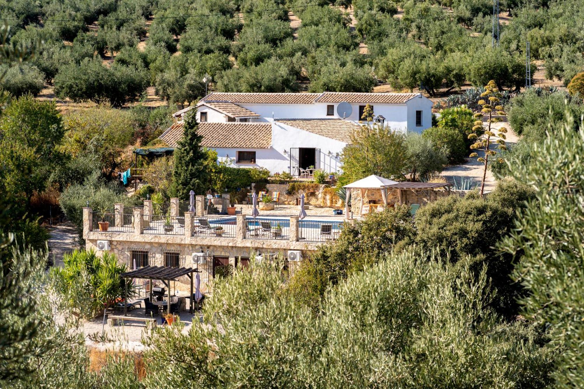 Hacienda La Buena Vida B&B En Appartementen Casita La Bruja Algarinejo 部屋 写真